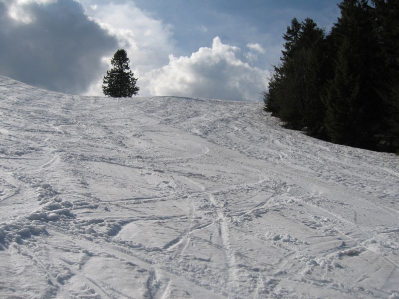 2009-04-11 (26) Ski slopes on Belchen